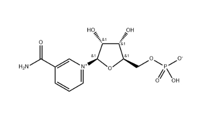 β-烟酰胺单核苷酸